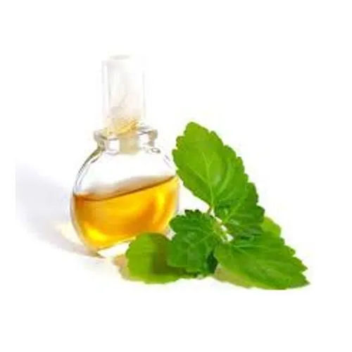 Patchouli Essential Oil - Ingredients: Herbal Extract