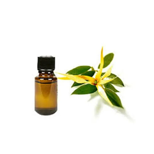 Ylang Ylang Essential Oil - Ingredients: Herbal Extract