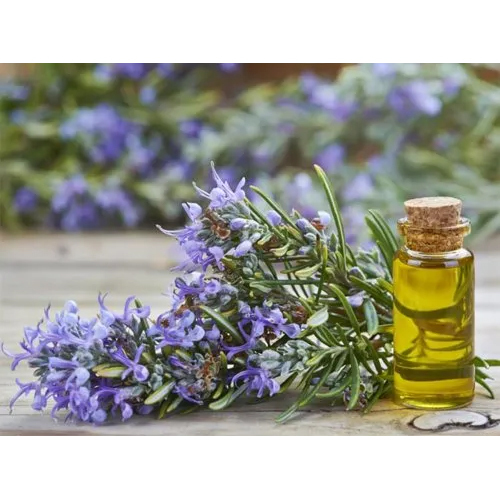 Rosemary Essential Oil