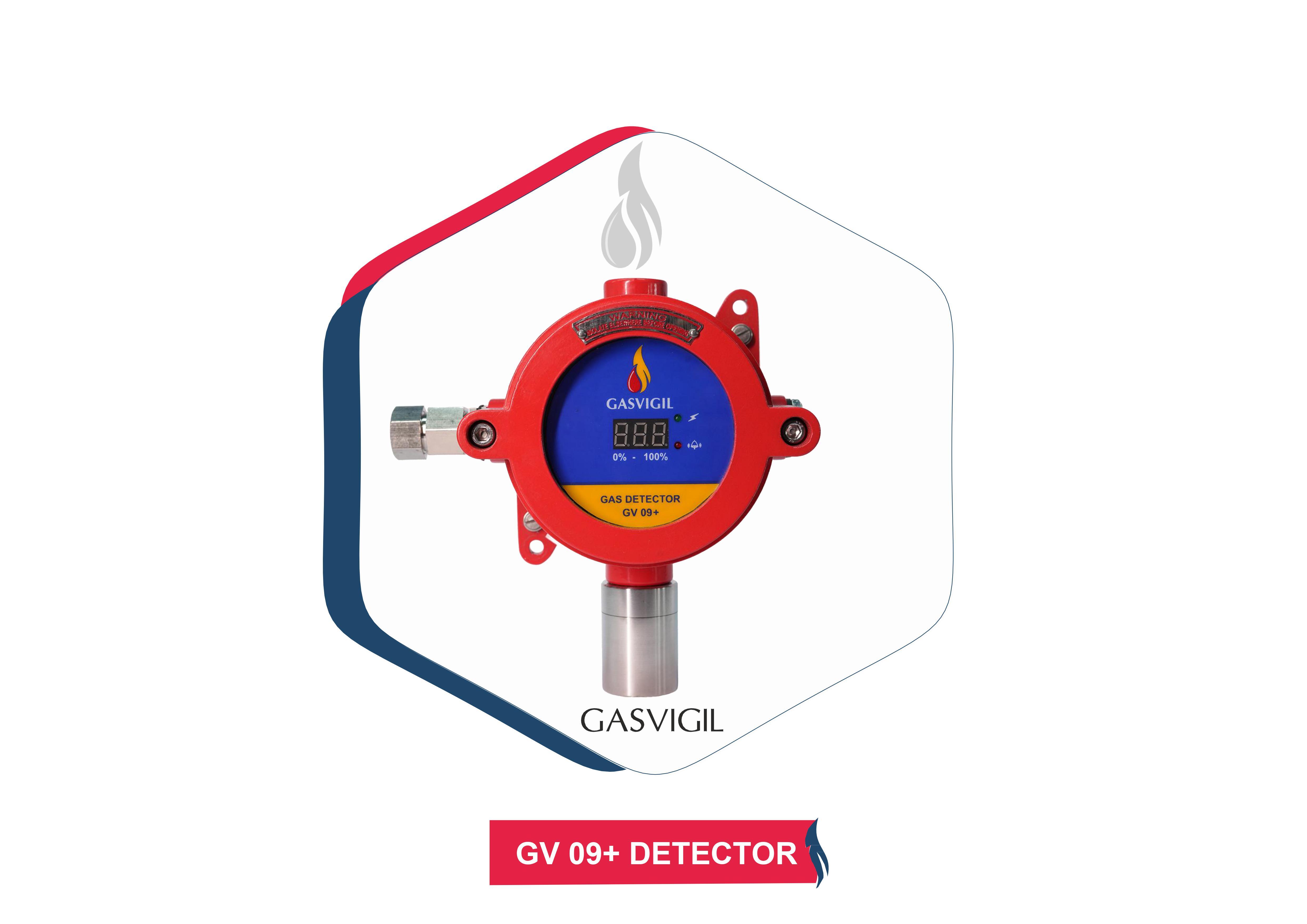 Multi Gas Detector System