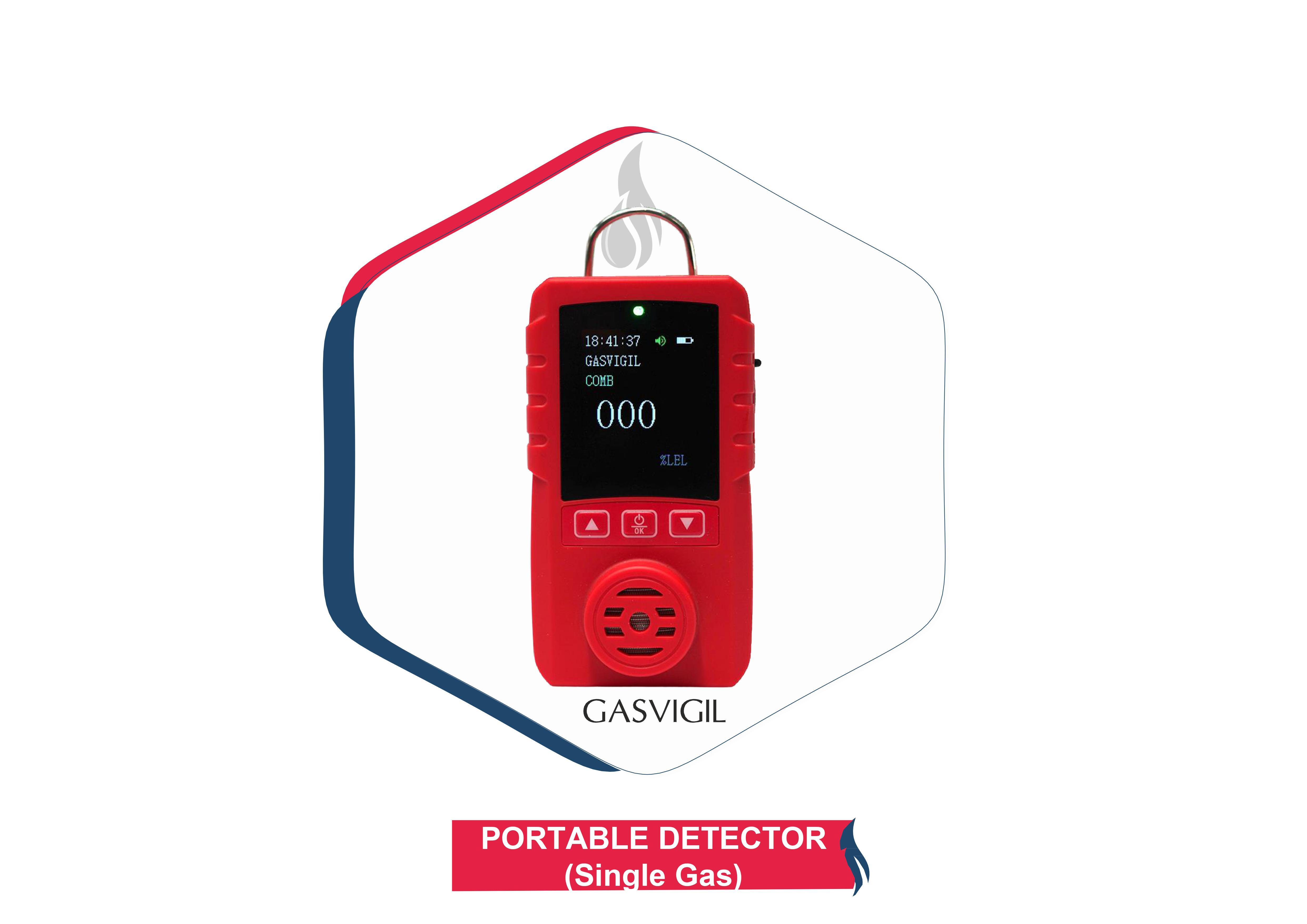 Multi Gas Detector System