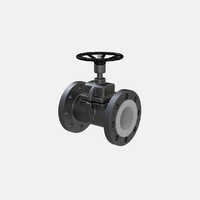 Industrial Fluoropolymer And PTFE Lined Diaphragm Valve