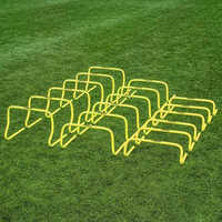 Agility Hurdles
