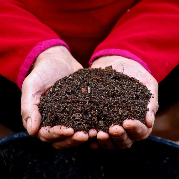 Organic Soil Conditioner