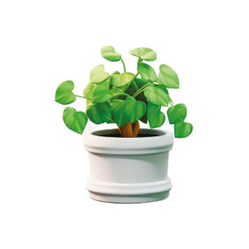 Indoor Plant - Color: White