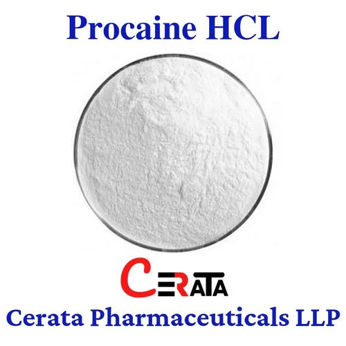 Procaine Api Powder - Cas No: 51-05-8