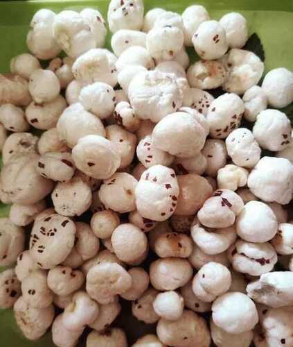 lotus seed