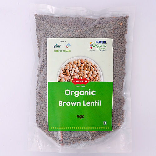 Organic Brown Lentil - Origin: India