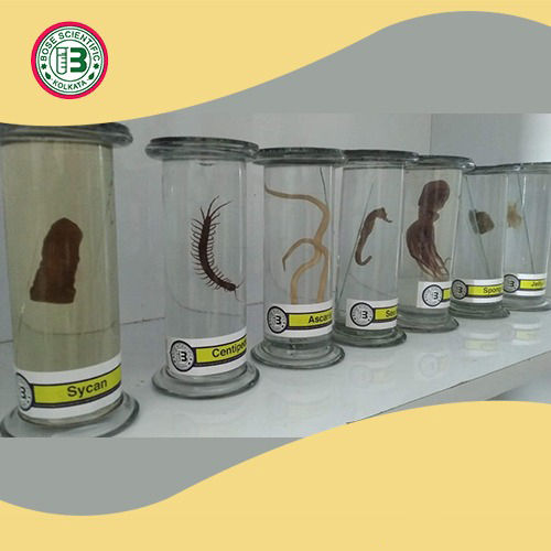 Biology Laboratory Specimens