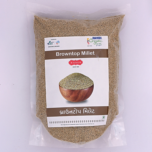 Browntop Millet