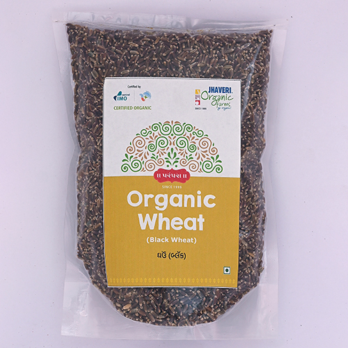 Organic Black Wheat