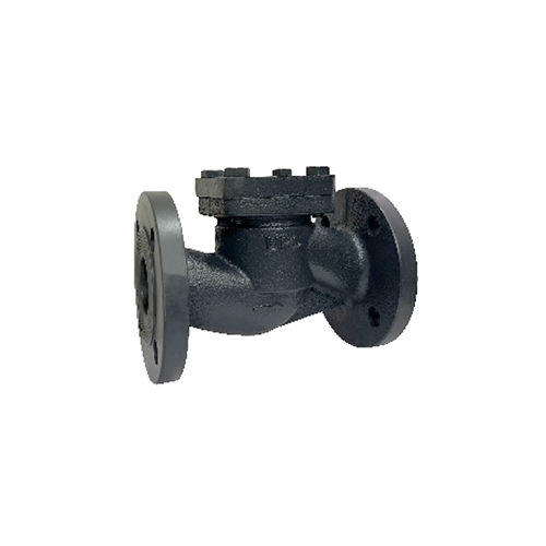 Pn16 Cast Iron Horizontal Lift Check Valve - Color: Black