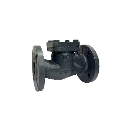 PN16 Cast Iron Horizontal Lift Check Valve