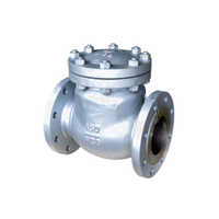 Class-150 Swing Check Valve - Cast Carbon Steel, 25mm To 300mm Size Range, High-pressure Design, Powder-coated Silver Finish, Ideal For Industrial Use