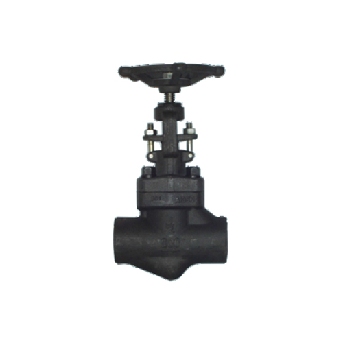 Forged Steel Globe Valve