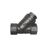 Investment Casting Y Type Strainer - Color: Black