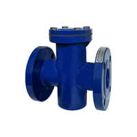 Cast Iron T Type Strainer - Color: Blue