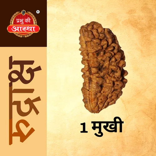 1 Mukhi Rudraksha