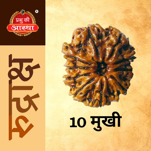 10 Mukhi Rudraksha