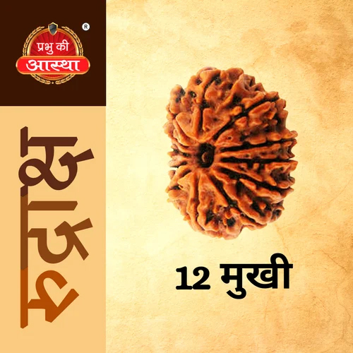 12 Mukhi Rudraksha