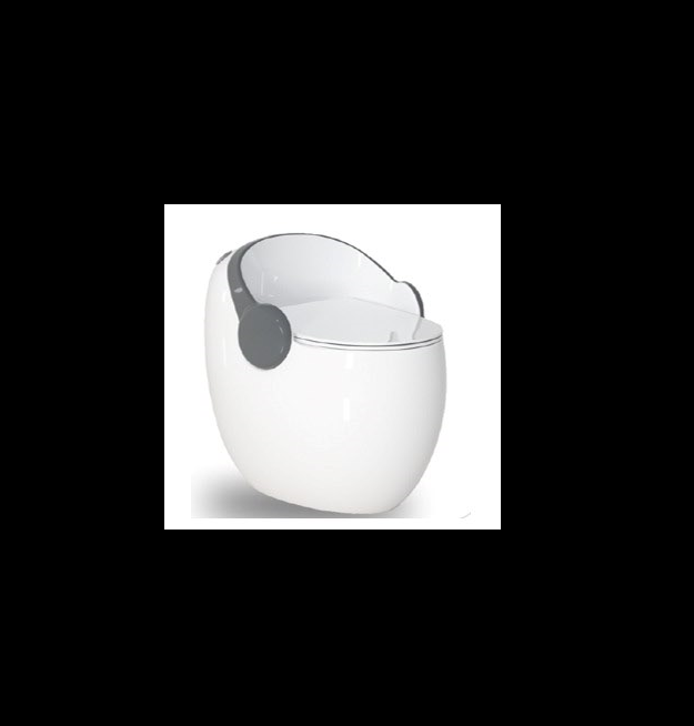 Ceramic One Piece Western Toilet