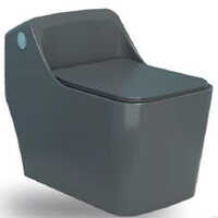 Imported One Piece Ceramic Toilet - 680x400x620mm, Glossy Grey Finish, Polished Surface, Uf Seat Cover, Floor-mounted Design