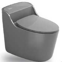 One Piece Ceramic Toilet Imported