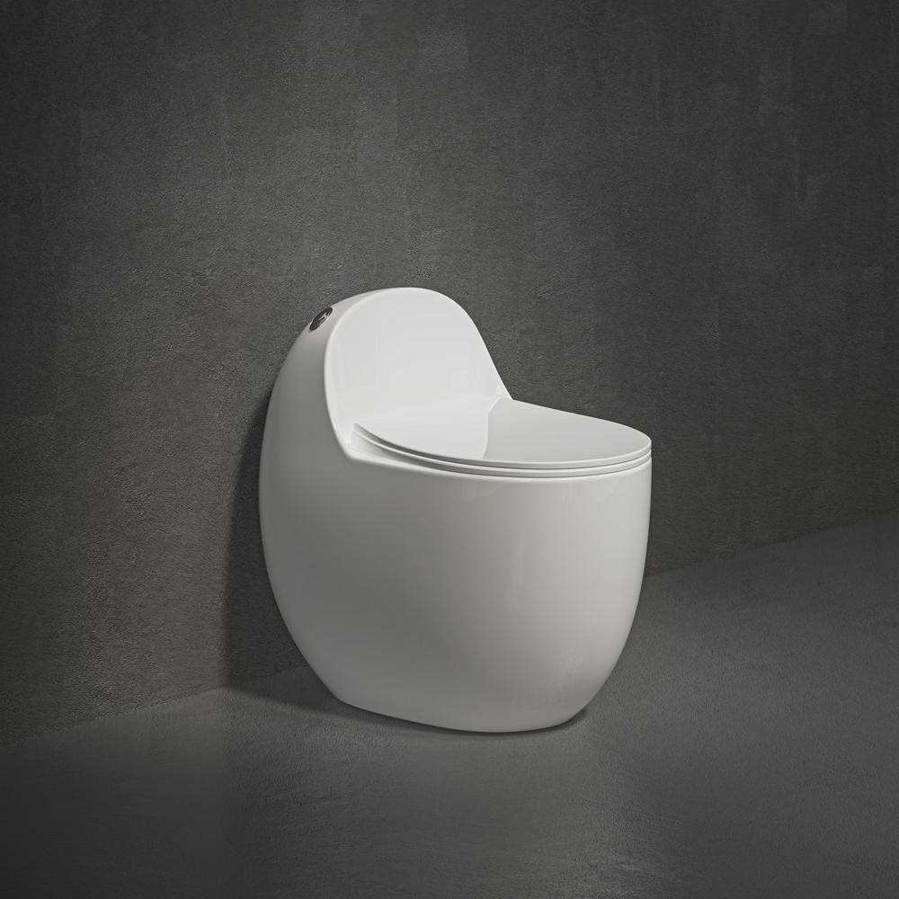 Ceramic One Piece Toilet ( White Glossy Imported) - Installation Type: Floor Mounted