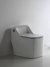 Capacity White Ceramic One Piece Floor Mounted Toilet with Dual Flush and 6
