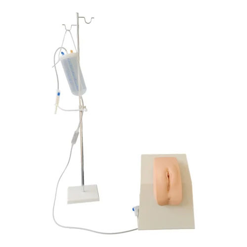 Female Catheterization Training Simulator - Color: Skin Colour