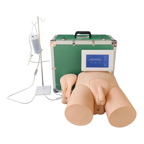 Electronic Urethral Catheterization & Enema Simulator