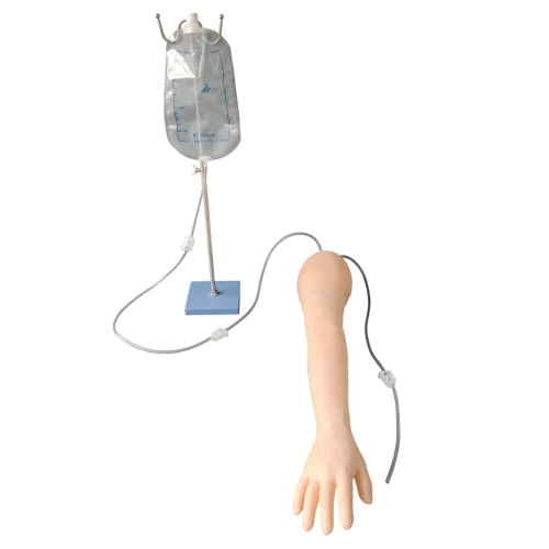 Iv Arm Full Functional 8 Vein System