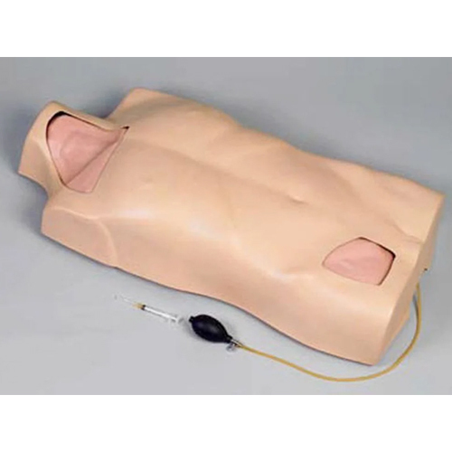 Full Functional Central Injection Torso Model