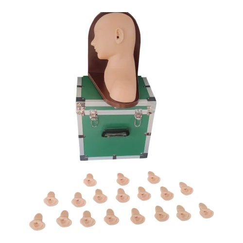 Advanced Ear Inspection Simulator