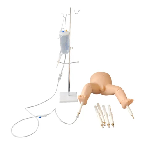 Infant Bone Marrow Puncture Model