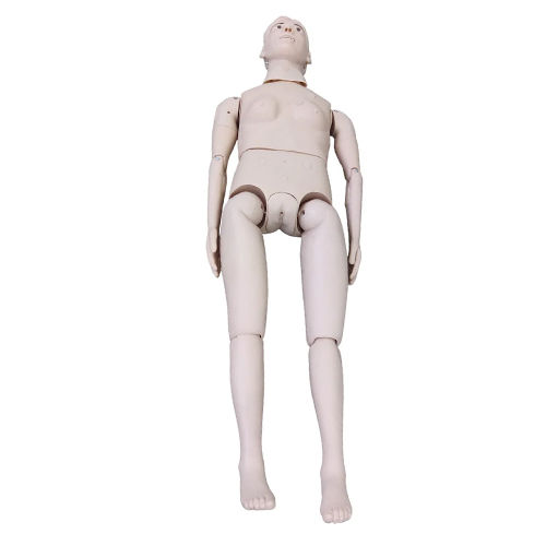 Female Combination Of Nursing Manikin - Color: Skin Colour