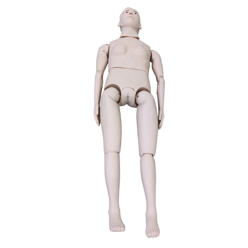 Female Combination Of Nursing Manikin