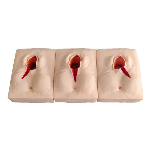 Vulva Suturing Training Simulator - Color: Skin Colour