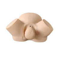 Midwifery Training Simulator - Color: Skin Colour