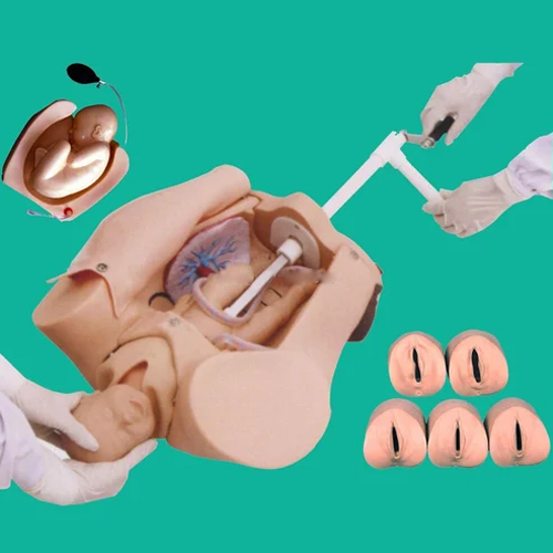 Advanced Abdominal Palpation And Delivery Mechanism Integrated Simulator