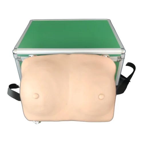Breast Inspection Model