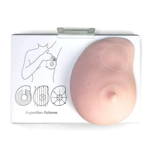 Breast Examination Model