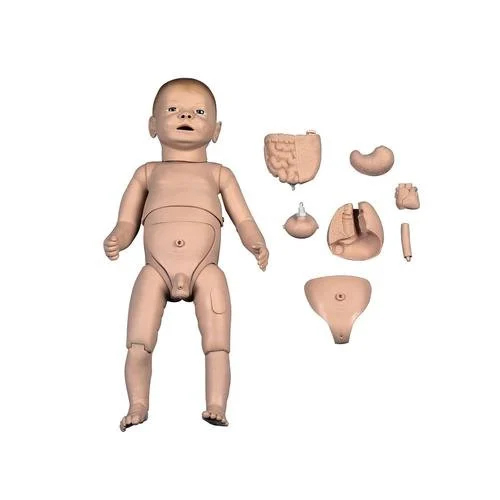 New Born Baby Model