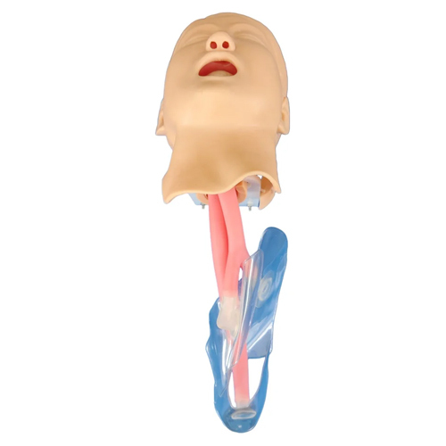Child Trachea Intubation Model