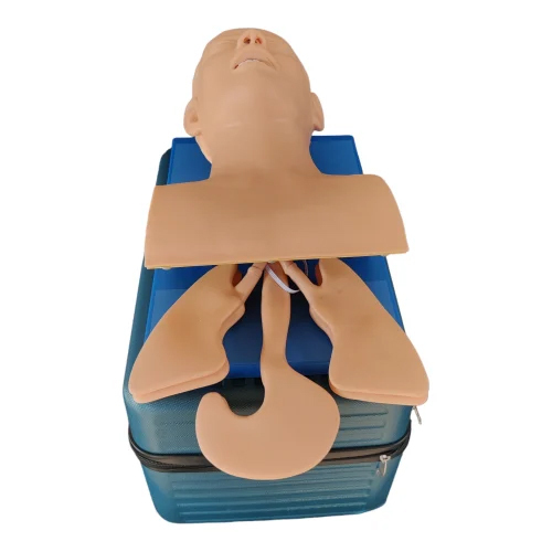 Electronic Treachea Intubation Manikin