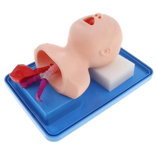 Neonatal Intubation Training Model