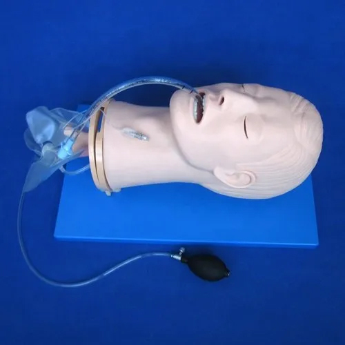 Airway Management Trainer