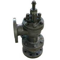 Cast Iron Accessible Feed Check Valve - Port Size: Customized