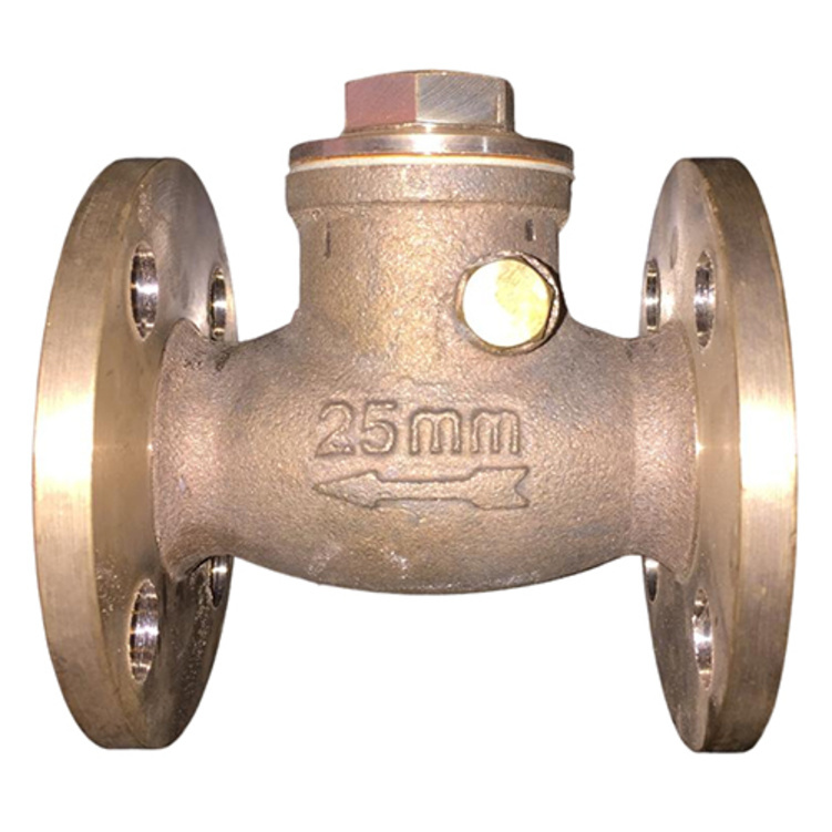 Flanged Ends Bronze Swing Check Valve - Application: Industrial