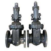 Cl-150 Flanged Ends Cast Iron Rising Spindle Gate Valve - Power Source: Hydraulic